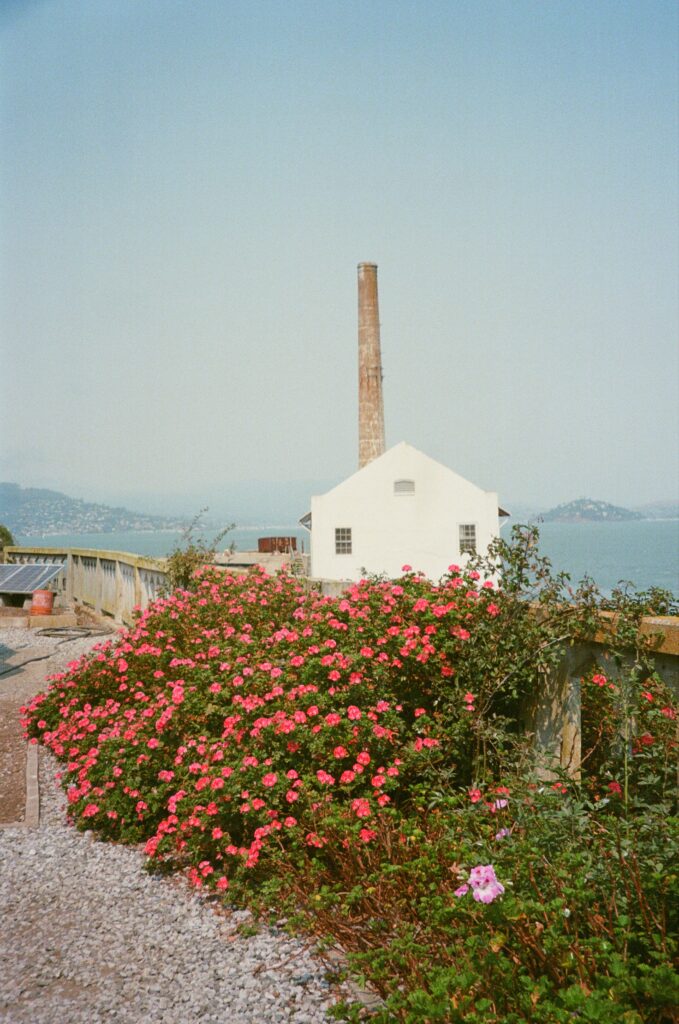 This image has an empty alt attribute; its file name is 000034270011-679x1024.jpg